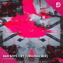 Bad Boys Cry (Original Mix)