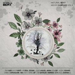 Natural Beat Mood Sampler, Vol. 3