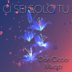 Ci Sei solo Tu