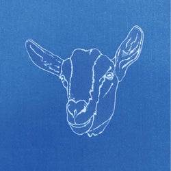 Nannygoat