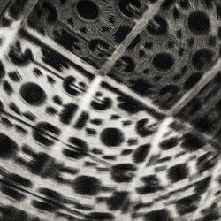 XTC