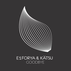 Goodbye