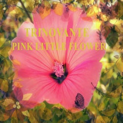 Pink Little Flower