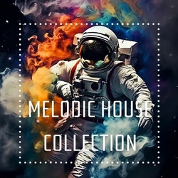 Melodic House  2024 Summer