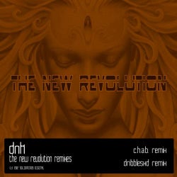 The New Revolution Remixes