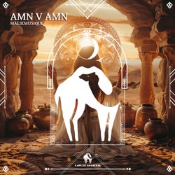 Amn v Amn