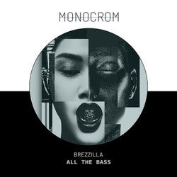 All The Bass (Original Mix)