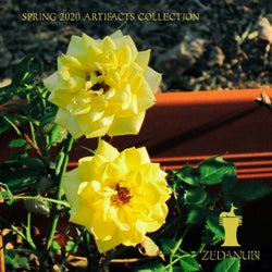 Spring 2020 Artifacts Collection (Radio Edits)