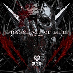 Fragments of Life