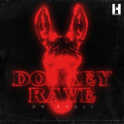 Donkey Rave