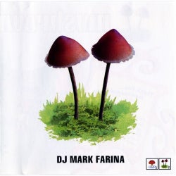 Mushroom Jazz Volume 2