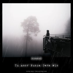 Tu Amor Nunca Sera Mio (Intro & Orchestral Mixes)