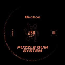 Puzzle Gum System