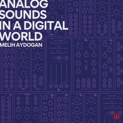 Analog Sounds in a Digital World