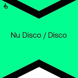 Best New Nu Disco / Disco: November