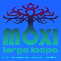 Moxi Large Loops Volume 5