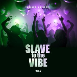 Slave To The Vibe, Vol. 2