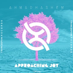 Approaching Joy