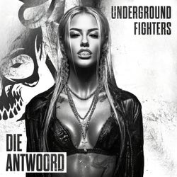 Die Antwoord