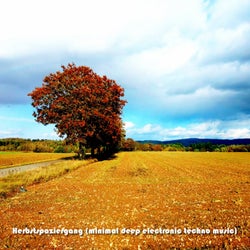 Herbstspaziergang, Vol. 2 (Minimal deep electronic techno music)
