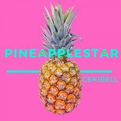 Pineapplestar (Pappappirippa)