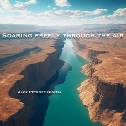 Soaring Freely Through the Air