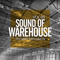 Sound Of Warehouse, Vol.5: Techno Explosion