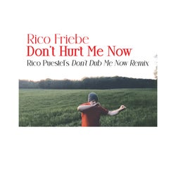 Don't Hurt Me Now (Rico Puestel's Don't Dub Me Now Remix)