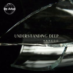 Understanding Deep