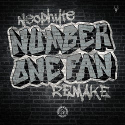 Number One Fan - Extended Remake