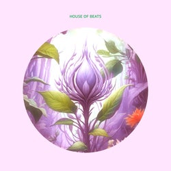 House of Beats
