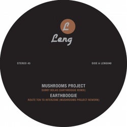 Mushrooms Project Vs Earthboogie Remix EP