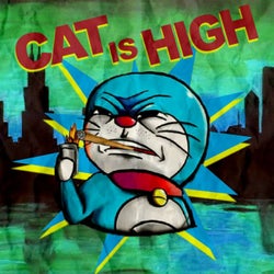 Cat Is High