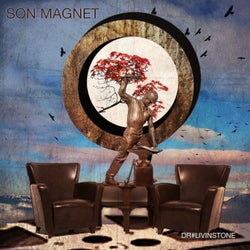 Son Magnet