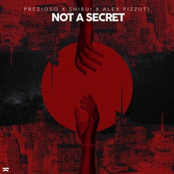 Not A Secret (Extended Mix)