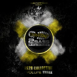 DS2B Collective Volume 3