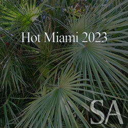 Hot Miami 2023
