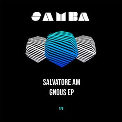 Cover art for GNous EP