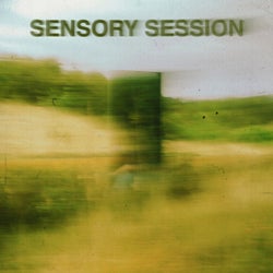 Sensory Session
