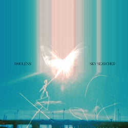 Sky Searcher