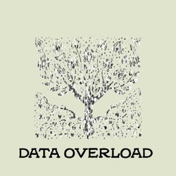 Data Overload