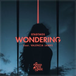 Wondering (feat. Valencia James)
