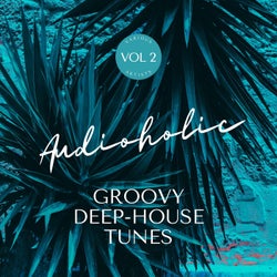 Audioholic (Groovy Deep-House Tunes), Vol. 2