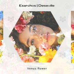 Venus flower
