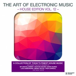 The Art Of Electronic Music - House Edition Vol. 12