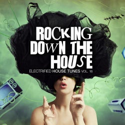 Rocking Down The House - Electrified House Tunes Vol. 16