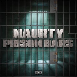 Prison Bars