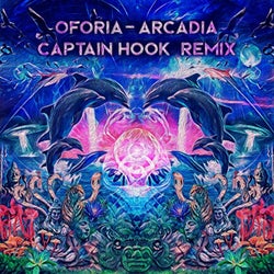 Arcadia (Captain Hook Remix)