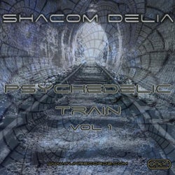 Psychedelic Train Vol1