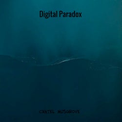 Digital Paradox
